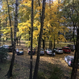Красивая осень