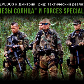 Razvedos и Дмитрий Грид: Слёзы солнца (2003) и Отряд особого назначения (2011) глазами военных